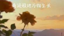 这是两个故事 #配音