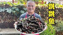 阿胖山花600买12斤跳跳鱼，做干煸跳跳鱼，酒多喝了好几碗