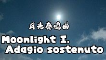 【口琴】贝多芬 月光奏鸣曲 Moonlight I. Adagio sostenuto 柔板 琴是F