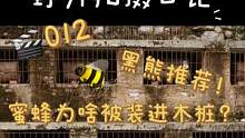 蜜蜂做错了什么竟被关进笼子！？#古法养蜂 #纪录片 #纪录片拍摄 #纪录片拍摄花絮  #纪录片拍摄团