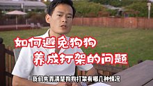 如何避免狗狗养成打架的问题