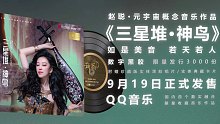 如是美音，若天若人 赵聪作品《三星堆·神鸟》为您开启元宇宙概念音乐的大门