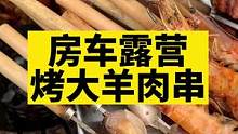 大口吃肉的感觉的太爽啦！#露营美食 #海边露营 #房车生活 #真材实料才能做出好味道 #烧烤