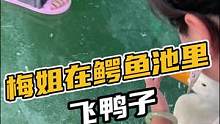 梅姐在鳄鱼池里飞鸭子#鳄珍 