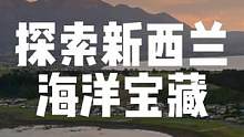 为什么新西兰这么让人向往？你最期待在新西兰探索什么海洋宝藏呢？