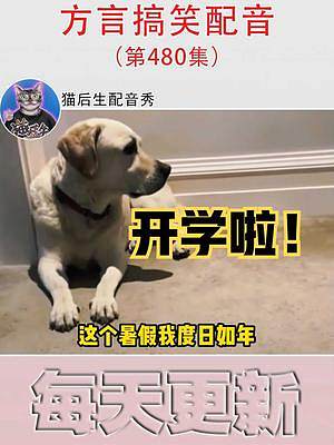 四川话配音:方言文化的魅力再现