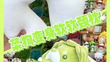 #这也太可爱了吧 菜狗抱枕变身菜狗颈枕#菜狗 #白菜狗 #蔬菜精灵