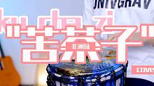 火遍全网的《苦茶子》，美女演奏非洲鼓版本，味道绝对正宗的“苦茶子”！！