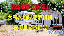 房车安家江南深山，天气太热了只能带狗狗去河里游泳降温