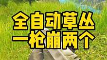#逃离塔科夫  全自动草丛一枪崩两