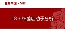 【分子】18.3 细菌启动子分析