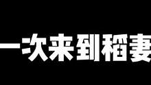 第一次来到稻妻 请问这里的解密一直都这么阴间吗 #原神 #萌新