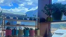 #九月你好 
新的九月，愿你的生活明朗，岁月无恙。
愿世间美好，都能与你恰好相逢。#9月第一天 #愿