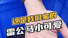 这是我们家的雷公马小可爱#鳄珍