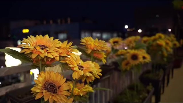 3-4个人刚好，分量好点足