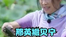 那英和撒贝宁徒手摸河蚌，一下池塘就差点滑倒，小撒高情商比赛#那英 #撒贝宁 #主持人 #明星情商