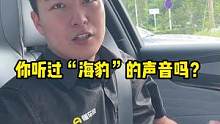 你听过#比亚迪海豹 的声音吗？大家觉得这个提示音怎么样？ 
