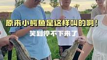 鳄鱼唱歌很好听的，朋友们不进来听听吗？#鳄珍