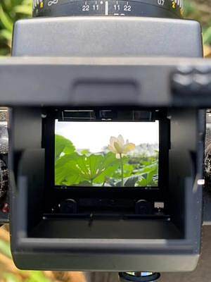 #胶片相机 #取景器里的世界 #尼康 #腰平取景器 一台可以自动对焦的腰平取景相机就算重一点又有什么