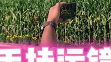 回农村秋收啦！#技术流运镜 #手机教学 #虎哥教程
