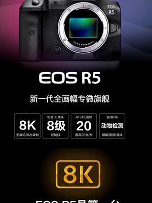 最近佳能R10热度已经超越了佳能EOSR5，4500万像素的R5搭配RF100-500镜头拍鸟完美组