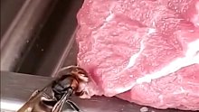 马蜂到肉摊上自己割肉
