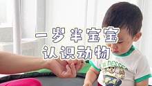 别说一岁半宝宝学习能力真的很强#在家早教 #每日亲子陪伴 #母婴好物