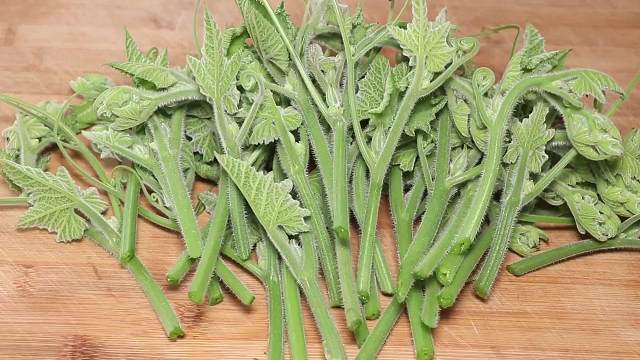 南瓜尖我家连吃3天，简单一做，鲜香味美有营养，出锅家人超喜欢