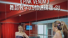 #长沙kiwi舞蹈 BLACKPINK《Pink Venom》舞蹈教学完整版0.5倍速镜面教学