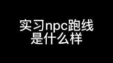 只要#npc 跑的够快，玩家就是认不出来我#搞笑 #混入其中