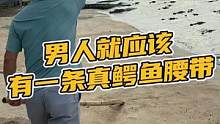 男人真的要有一根鳄鱼腰带，提气质撑气场，来直播间错不了#男士腰带 