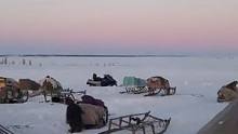 游牧民族的日常生活，俄罗斯北部涅涅茨。#人间烟火 #户外生活 #雪地 