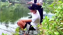 这鱼钓得，我看的都疼，到底为什么不能钓鱼
