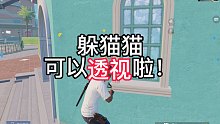 躲猫猫开透视？透视bug教学