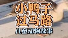 小鸭子过马路，数一数有几只呢？#儿童故事 #万物皆有灵性 #萌宠