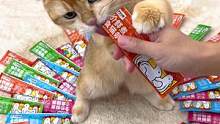 可以当主食的猫条，再也不怕小猫咪吃零食会挑食不健康了！随便炫都可以～#萌宠好物 #921好物节