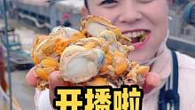 想吃高品质的扇贝肉，点击头像进来看看吧！#海鲜原产地 #扇贝肉