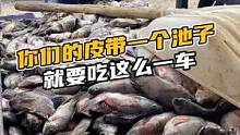 你们一个池子的皮带就要吃这么一车鱼，大家知道这是什么鱼吗#鳄珍 