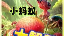 小小蚁国：小蚂蚁，大智慧！