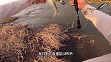 水闸果然是路亚天堂，一次钓获6个鱼种
