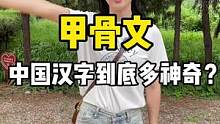 文字之都——安阳，你知道中国汉字有多神奇吗？#安阳 #知识分享 #我为家乡代言
