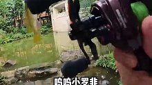 没时间出门钓鱼怎么办？最近的路亚资源可能就在楼下