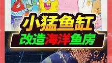 海洋房挂海绵宝宝全家福，红地图入驻小猛鱼缸，手工制作双重溢流 #宠物 #地图鱼 #鱼房改造