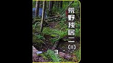 第二季，50天过后仅剩3人，菜鸟饱受饥寒终逆袭 #野外生存  #荒岛求生  #纪录片