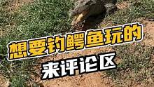 想要钓鳄鱼玩的可以来评论区哦#鳄珍 