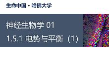 【神经生物学】1.5.1 电势与平衡（1）