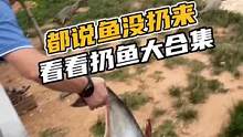 朋友们一直说我们鱼舍不得扔，来一个扔鱼大合集#鳄珍 