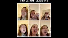 【翻唱】BLACKPINK - Pink Venom