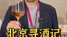 去喝酒吧，去不要的酒展喝醉多的酒！#中国葡萄酒顶流 #ProWine