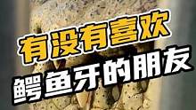 有没有喜欢鳄鱼牙的朋友，可以来评论区留言#鳄珍 